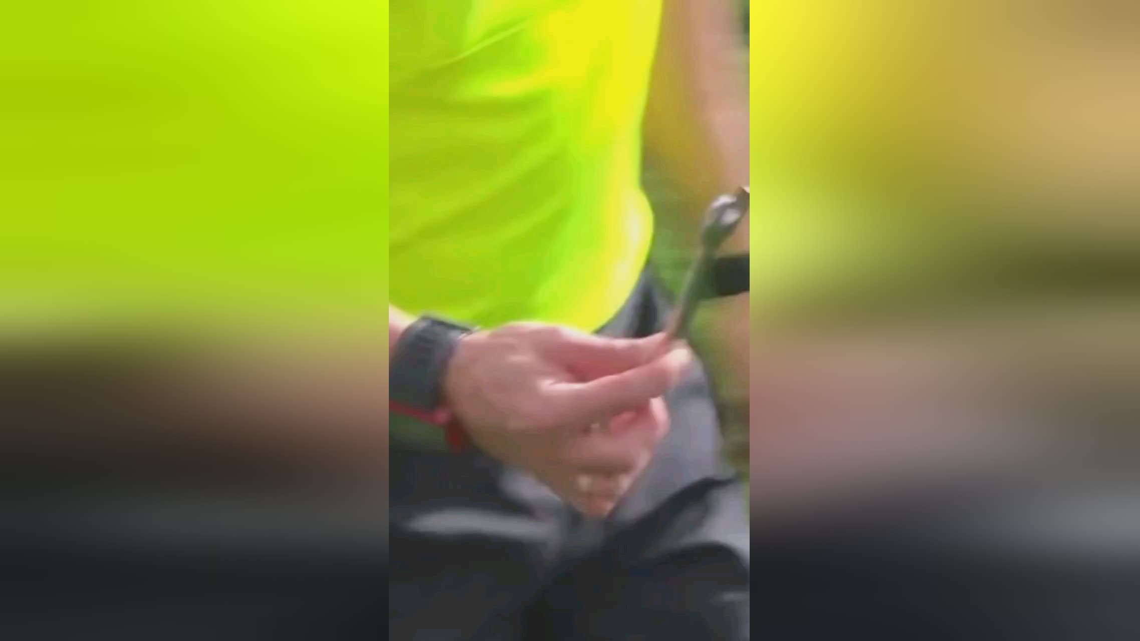 佳路线因此